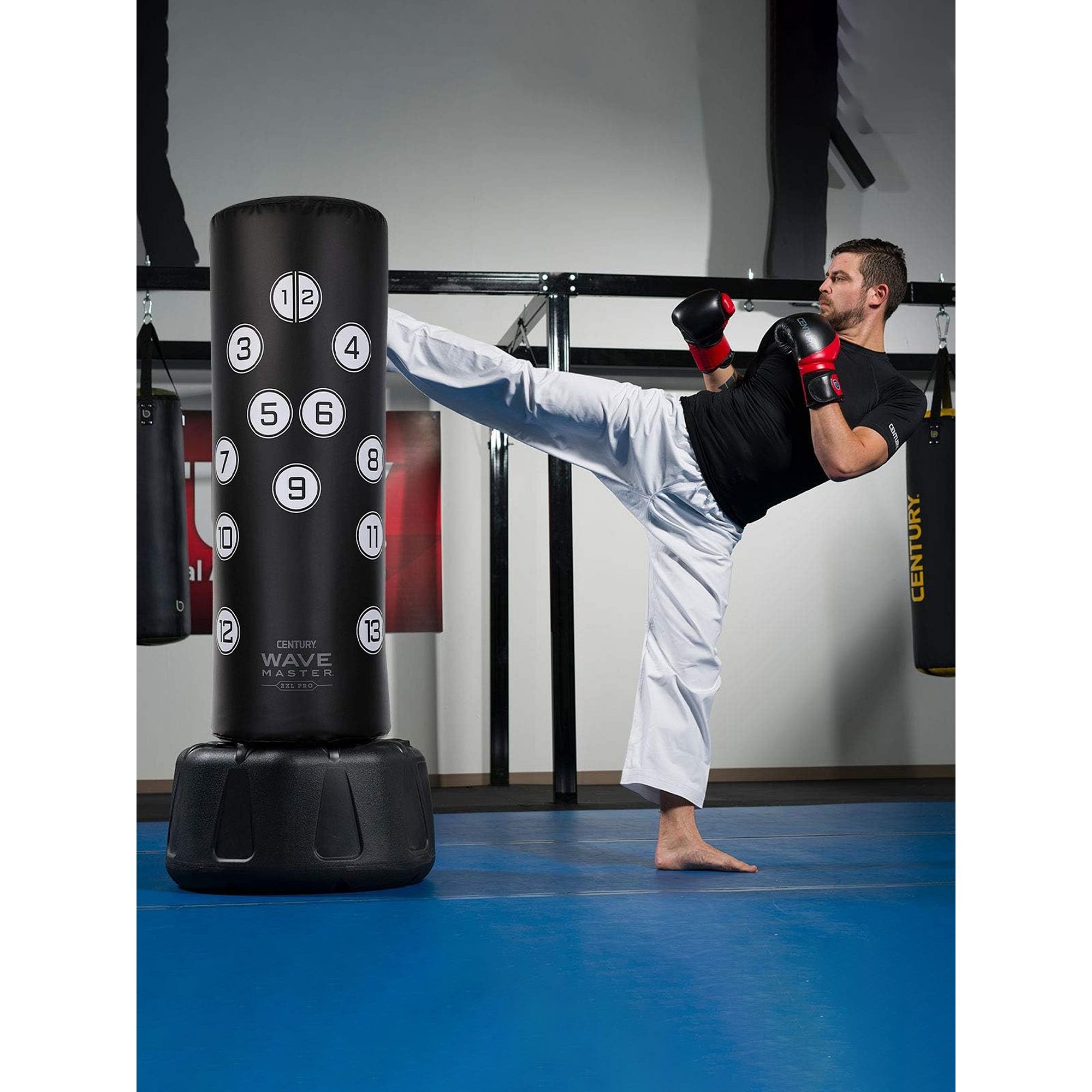 Century Wavemaster Wavemaster 2xl Pro Review Century Wavemaster